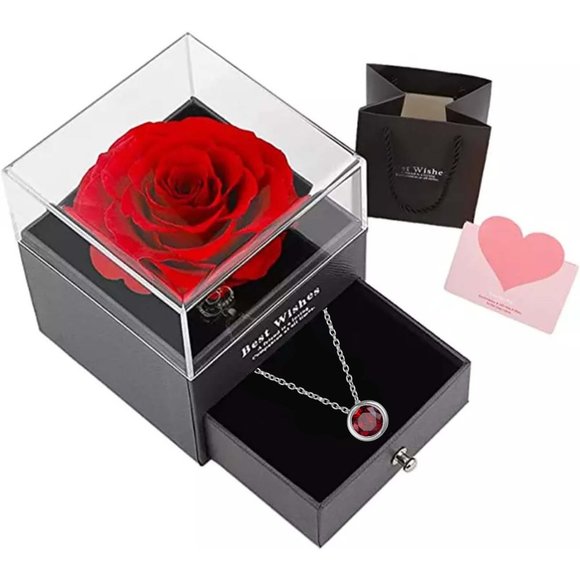 Preserved Rose In a Acrylic Box with Silver Plated January Birthstone Necklace - Picture 1 of 15